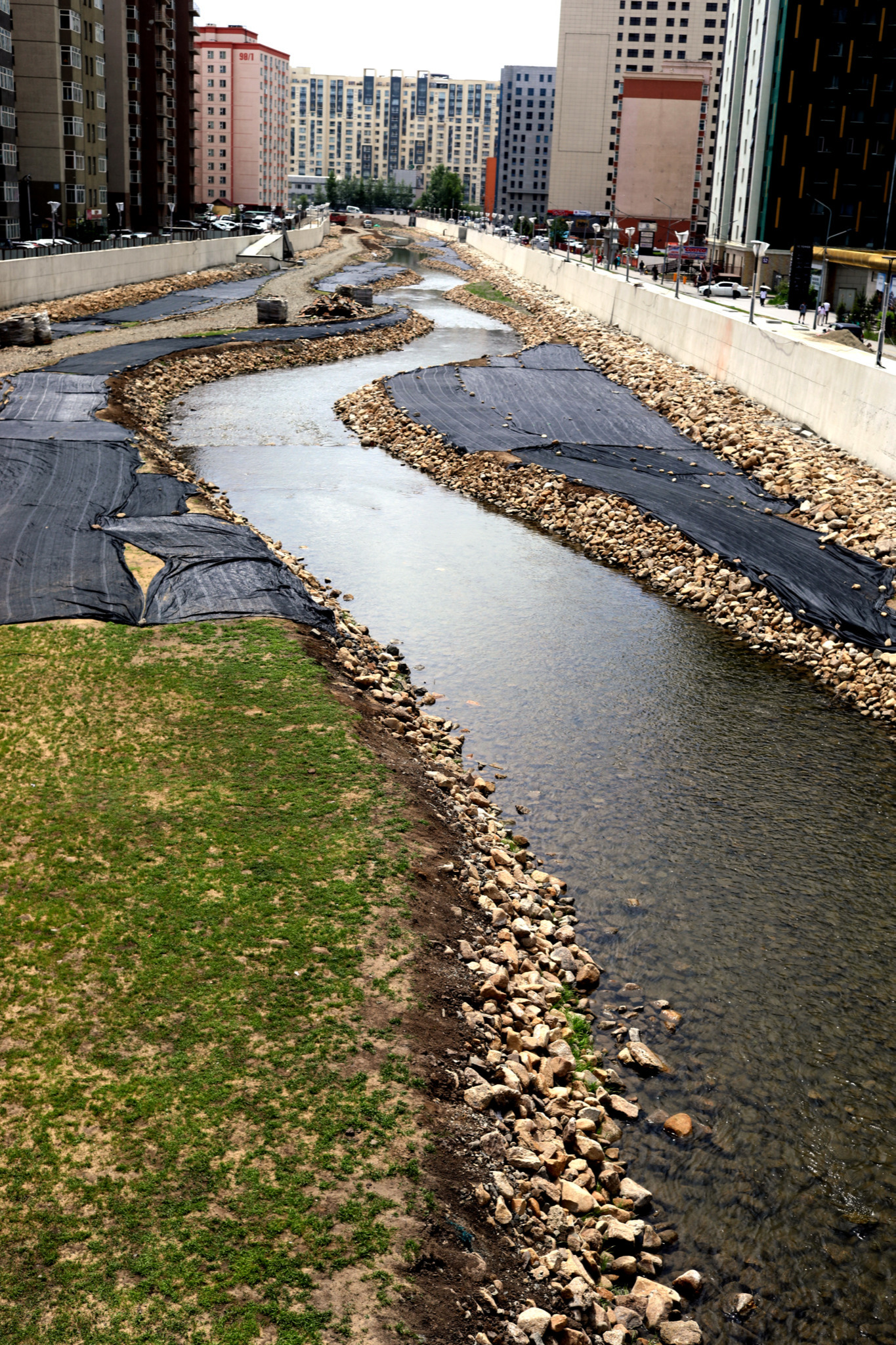 Costly engineering, careless ecology